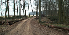 Photo Foxwood